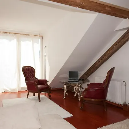 Apartment Lux In Der Stadt