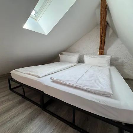 Lux In Der Stadt * Friburgo de Brisgovia